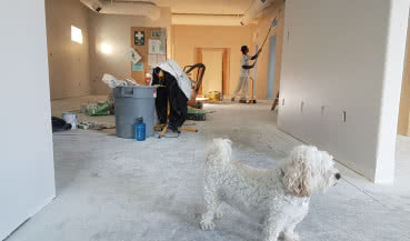 Budowa domu bez pomocy fachowców? Poznaj 17 prac budowlanych