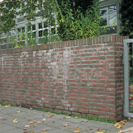 Wykwity solne na murze